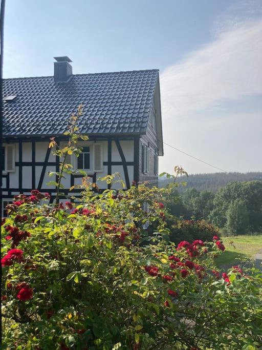 Ferienwohnung Am Alten Backhaus Bad Berleburg Dış mekan fotoğraf