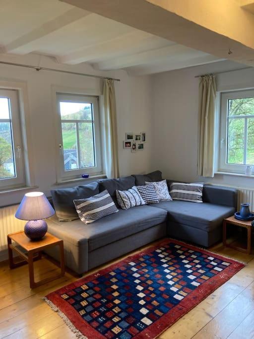 Ferienwohnung Am Alten Backhaus Bad Berleburg Dış mekan fotoğraf